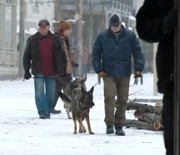 Jackson patrolmen with their dogs.