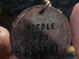 Nicole Hoo's Firefly pendant