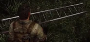 Ladder.png (340 KB) Joel looking at a ladder.