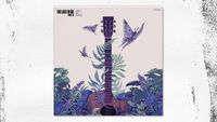 Covers and Rarities vinyl