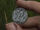 Massachusetts coin