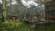 Greenhouse