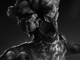 Infectés