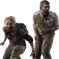 Characters of The Last of Us - Wikipedia