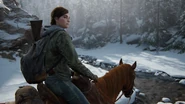 Ellie riding Shimmer on patrol.