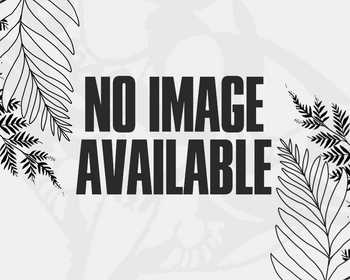 No image available