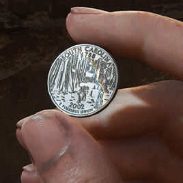 South Carolina quarter