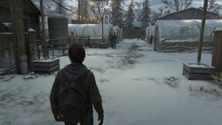 The Last of Us: Jackson From Part 2 Set Explained by Director