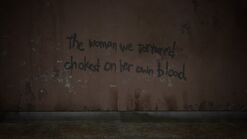 Firefly graffiti - the woman we tortured