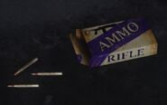 Rifle ammo (box and several loose rounds)