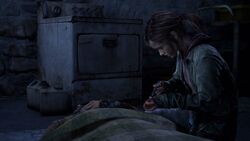 Ellie gives medicine.jpg