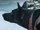 HBO S1E6 Dog 3.png