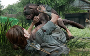 Dog attack
