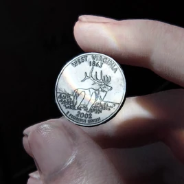 West Virginia quarter