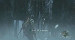 Door 11