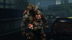 HBO's The Last of Us: Every type of infected zombie - Polygon