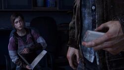 Ellie with file.jpg