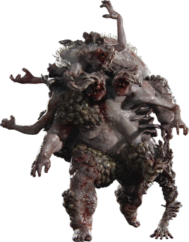 Rat king form