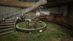 Ankylosaurus and Dilophosaurus display