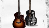 Limited edition Taylor guitars