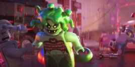 TLBM Medusa