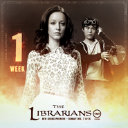 The Librarians one week poster