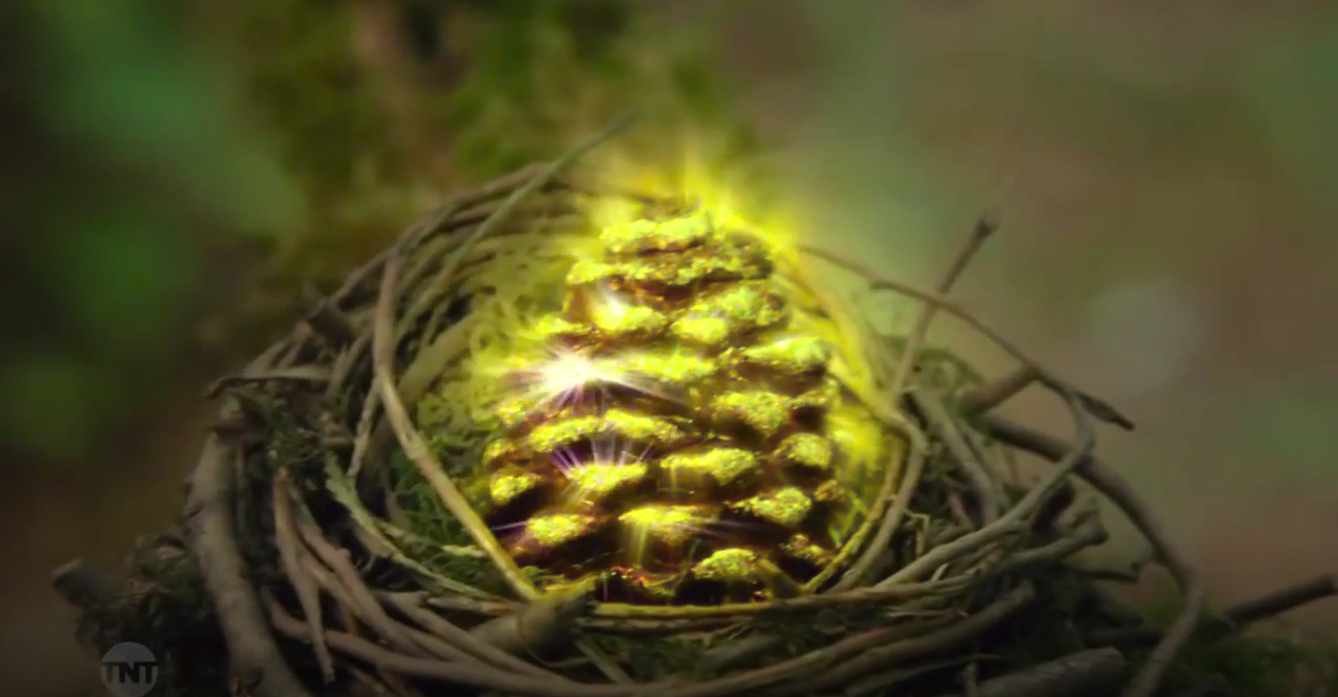 Zero Seed | The Library | Fandom