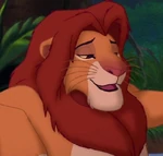 SimbaAdult TLK3.jpg (47 КБ) Взрослый