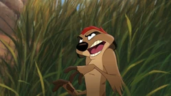 В мультфильме «Король Лев 2»