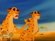 Читата и Читато