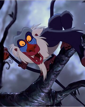Rafiki Korol Lev Viki Fandom