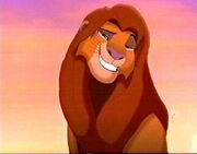 Simba.jpg