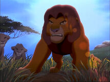 Lion-king-fight-the-lion-king-2-simbas-pride-23345184-1024-768