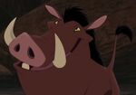 Pumbaa-TLK2