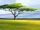 Kion's Tale Ch. 8