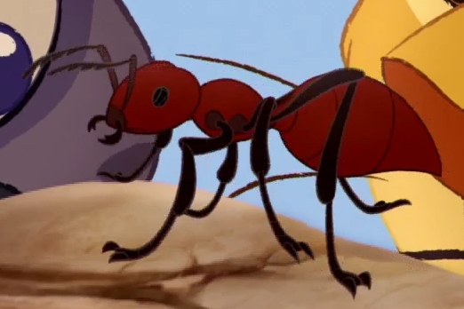 king fire ant