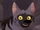 Ogopa (FuliTheFastest)