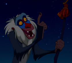 Rafiki-img