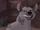 Abioye