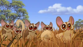 Galagos