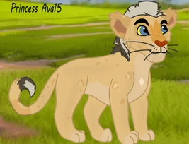 Cub