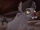 Cheezi (Caldafox's Fanfics)