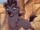 Jasiri (Sapphirejas’s Semi Canon)