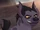 Janja (Sapphirejas’s Semi Canon)