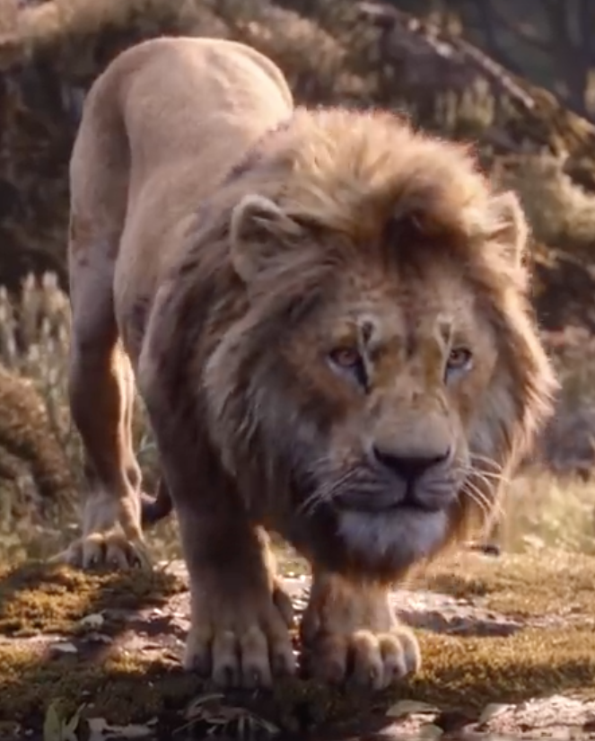 Simba 2019 (DarkBlood) | The Lion King Fanon Wiki | Fandom