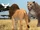 Kopa (Second Indominus's Fanfics)