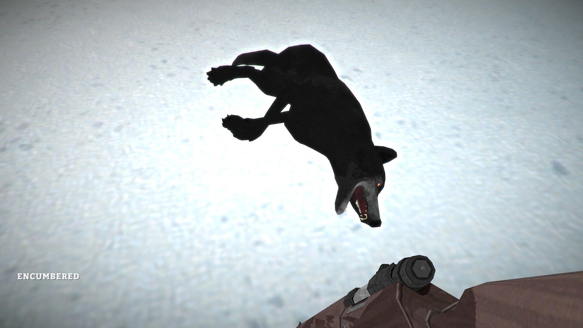 Wolf.jpg