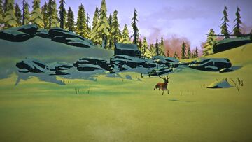 Deerrunning