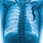 Virgintracklist.jpg (692 KB) Back cover