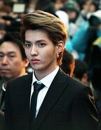 220px-Kris Wu at the Hallyu Star Street on March 2014 01